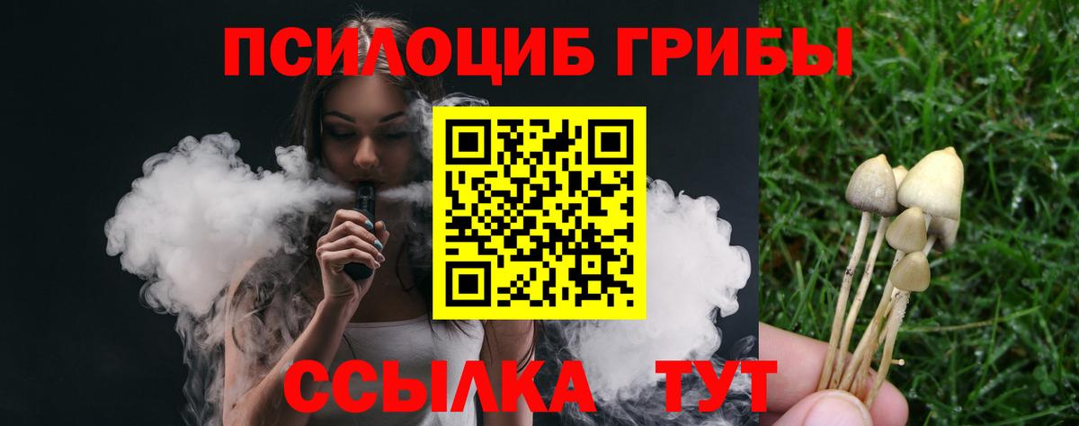 Галлюциногенные грибы ЛСД  Вход с VPN  Псилоцибиновые грибы Psilocybine cubensis  Камышин 